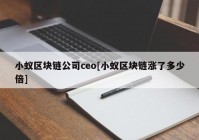 小蚁区块链公司ceo[小蚁区块链涨了多少倍]